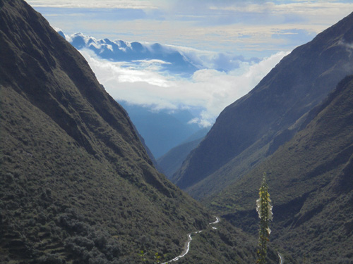Bolivia Festival Image 4